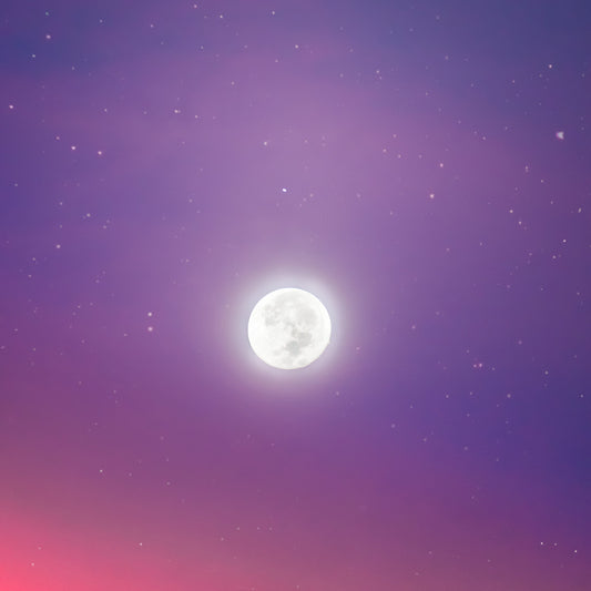 MoonBody All-In🌙