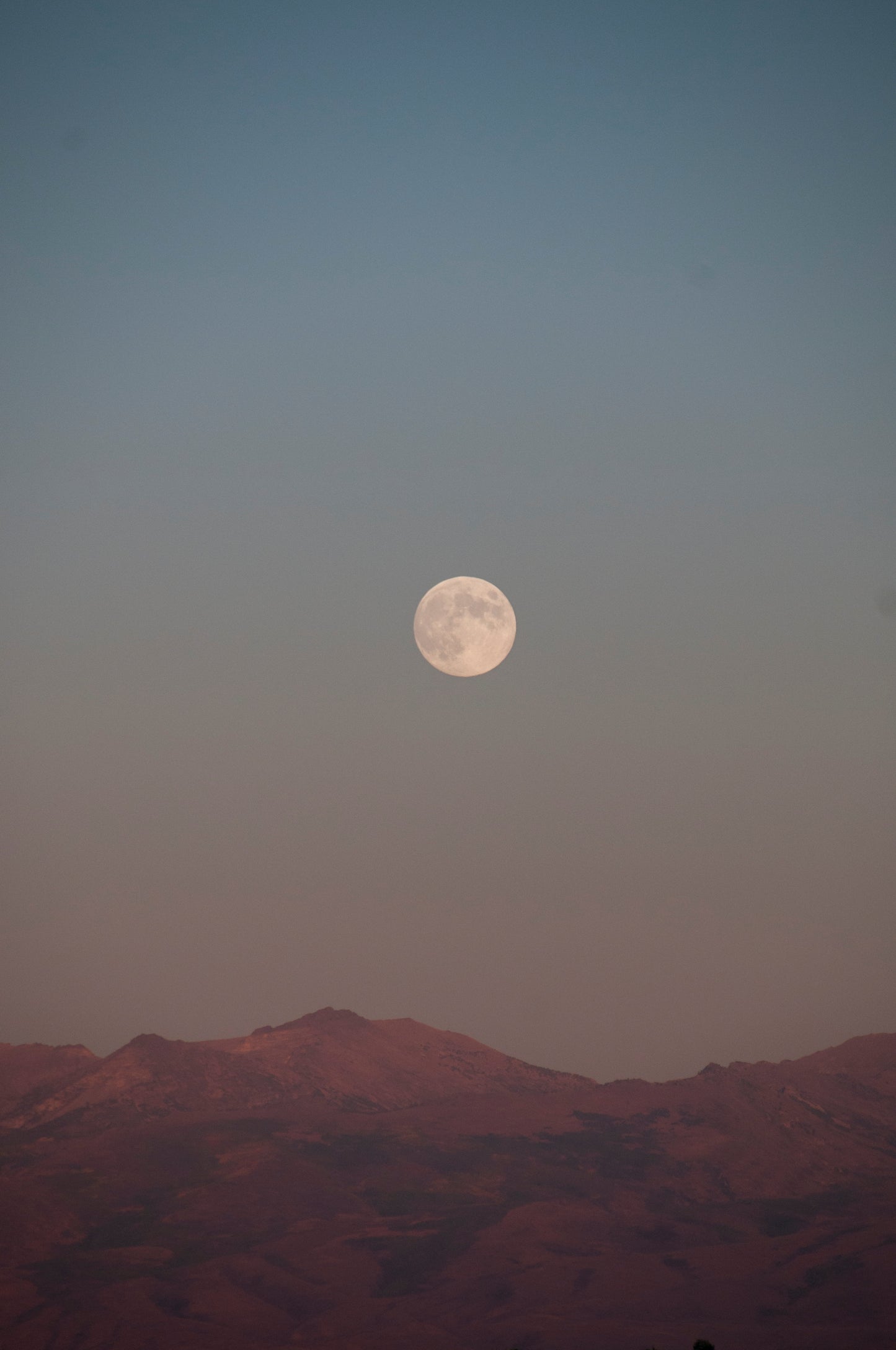 MoonBody Nomad🌙